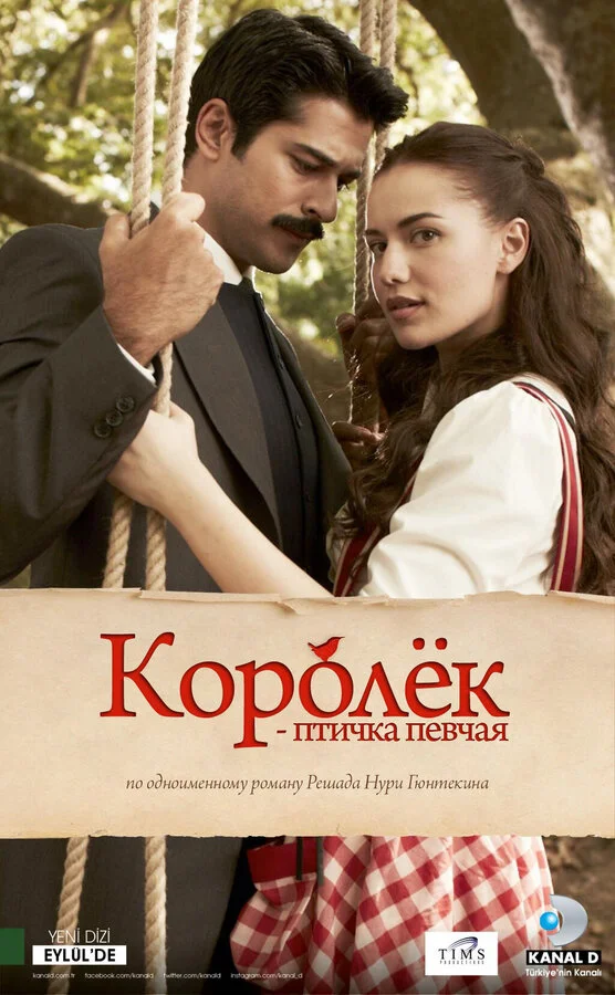  Королёк — птичка певчая 